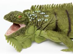 Figurina - Iguana