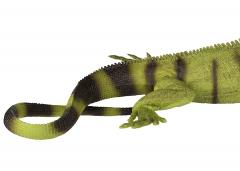 Figurina - Iguana