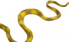 Figurina - Boa Amazonian de copac