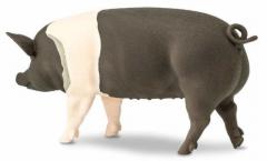 Figurina - Porc Hampshire
