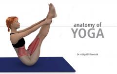 Anatomy of Yoga