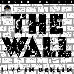 The Wall - Vinyl