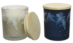 Lumanare - Branch and Snowflakes - doua culori - pret pe bucata