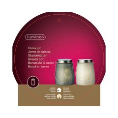 Decoratiune - LED Frosted Snowflake Glass - Warm White - doua culori - pret pe bucata