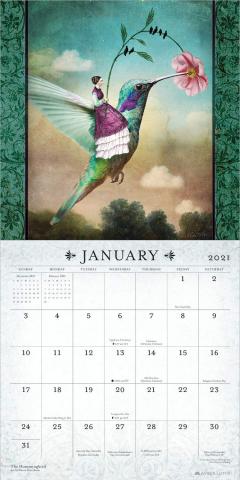 Calendar 2021 - The Curious World of Catrin Welz-Stein, 30x30 cm