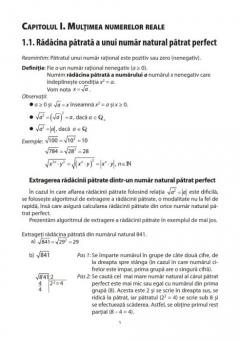 Matematica. Exercitii si probleme pentru clasa a VII-a