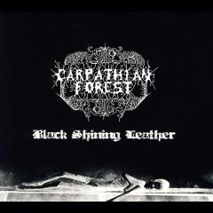 Black Shining Leather