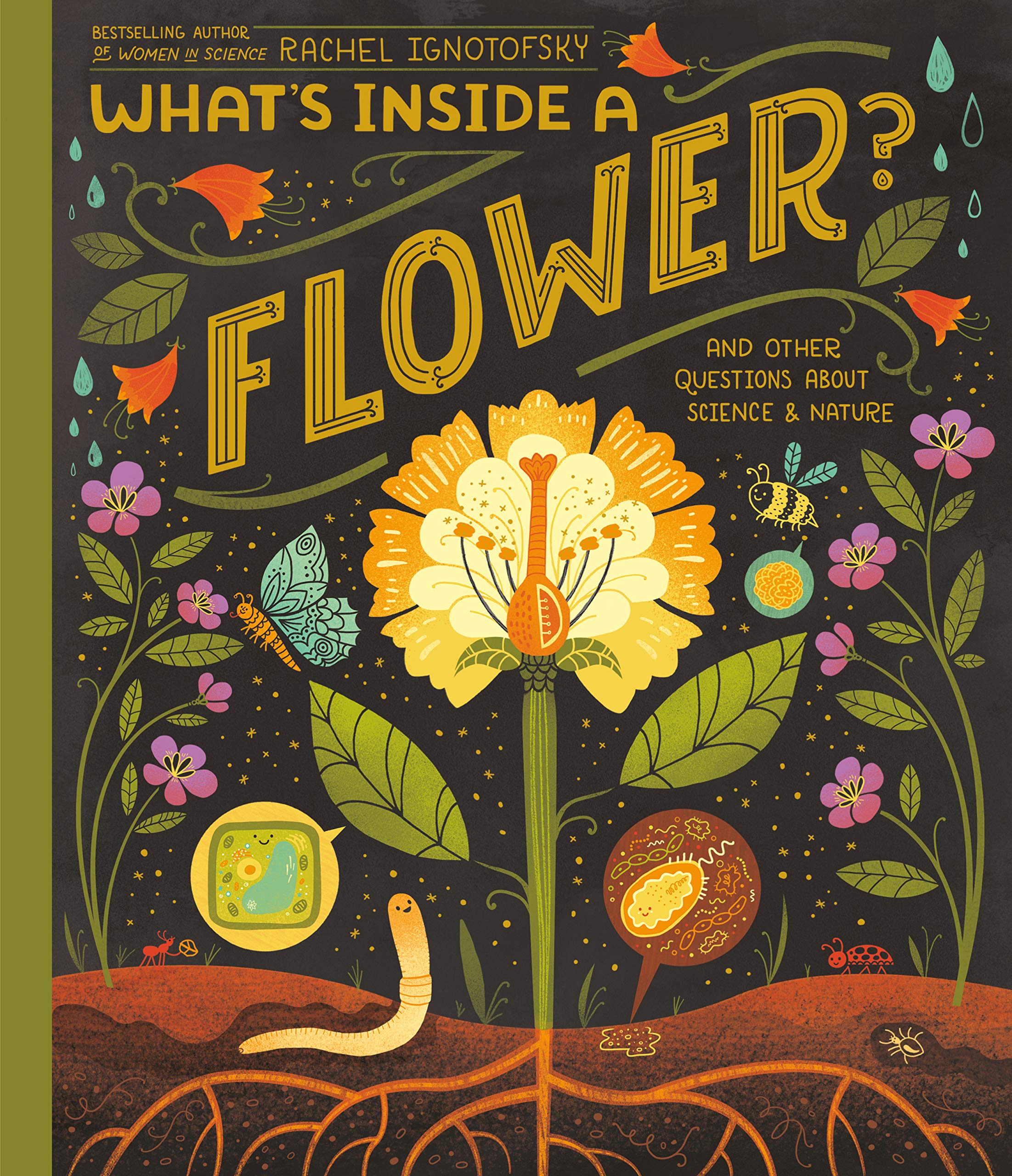 What&#039;s Inside A Flower?