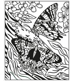 Magic Painting: Butterflies