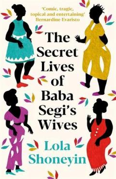 Coperta cărții Secret Lives of Baba Segi's Wives