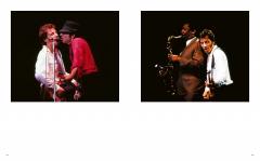 Bruce Springsteen: Live in the Heartland