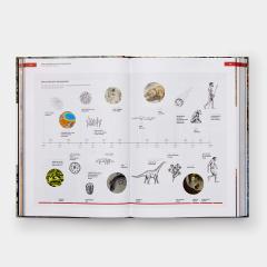 The Origins of Cooking