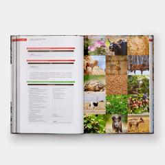 The Origins of Cooking