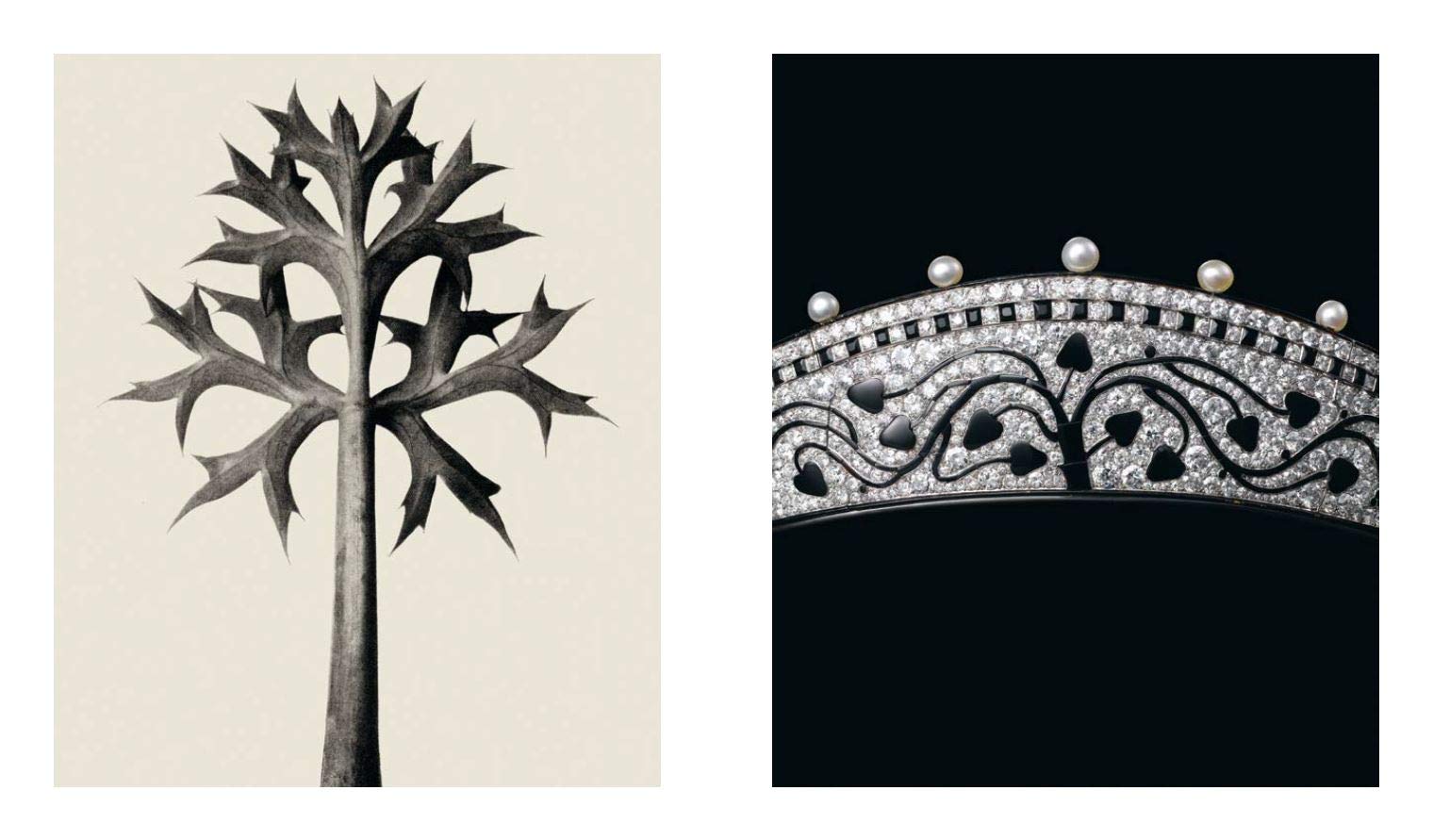 [Sur]Naturel Cartier: High Jewelry and Precious Objects