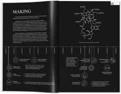 BIG. Formgiving. An Architectural Future History