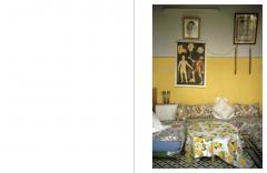 Joel Meyerowitz: Wild Flowers