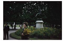 Joel Meyerowitz: Wild Flowers