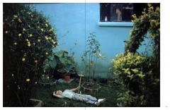 Joel Meyerowitz: Wild Flowers