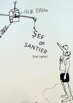 Sef de santier (bref, inginer)