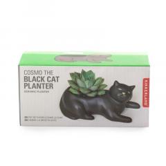 Ghiveci - Cosmo - The Black Cat Planter