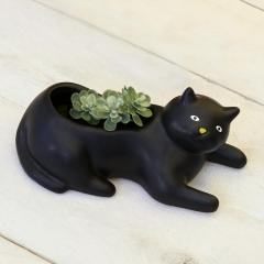Ghiveci - Cosmo - The Black Cat Planter