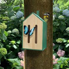 Casa pentru fluturi - Little Butterfly House