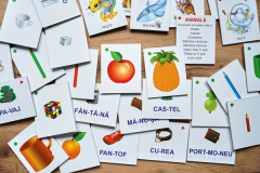 Fise educative: imagini, cuvinte, silabe (III)