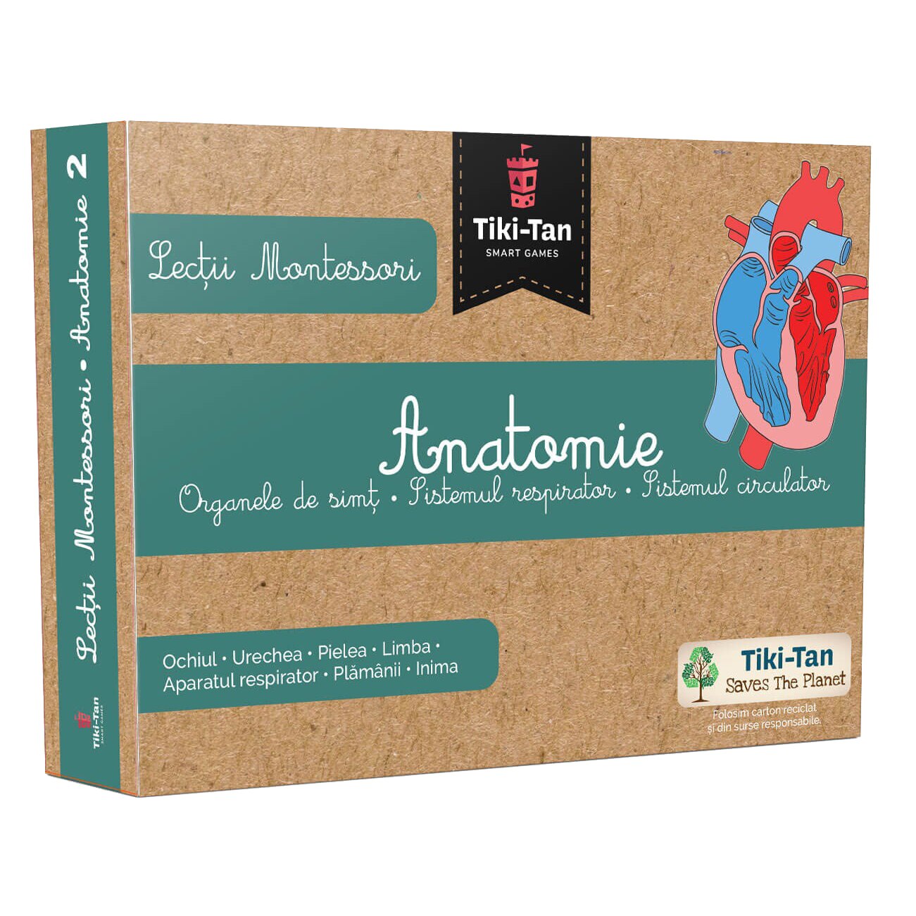 Lectii Montessori - Anatomie - Organe de simt, sistemul respirator, sistemul circulator