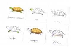 Lectii Montessori - Zoologie. Vertebrate