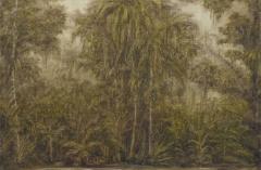 Lucas Arruda: Deserto-Modelo