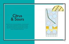 The Ultimate Book of Cocktails