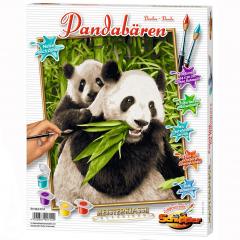Kit pictura cu numere - Pandabaren, 24x30 cm