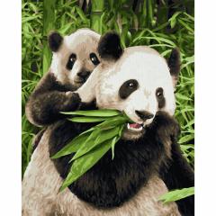 Kit pictura cu numere - Pandabaren, 24x30 cm