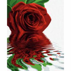 Kit pictura cu numere - Red Rose, 40x50 cm