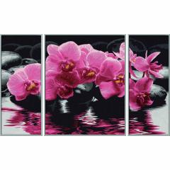Kit pictura cu numere - Triptic - Orchids, 50x80 cm