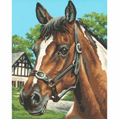 Kit pictura cu numere - Horse Portrait, 24x30 cm