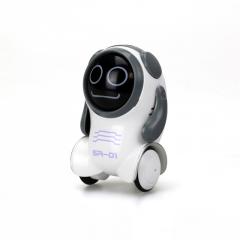 Robot electronic Pockibot - Modele diferite
