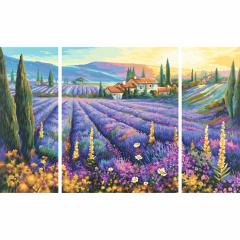 Kit pictura cu numere - Triptic - Lavender fields, 50x80 cm