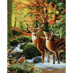 Kit pictura cu numere - Deer in the Forest, 40x50 cm