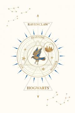 Set 20 de carti postale - Harry Potter - Ravenclaw