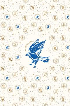 Set 20 de carti postale - Harry Potter - Ravenclaw