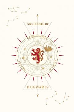 Set 20 de carti postale - Harry Potter - Gryffindor