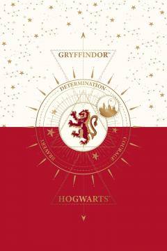 Set 20 de carti postale - Harry Potter - Gryffindor