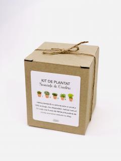 Kit de plantat hartie plantabila Cimbru