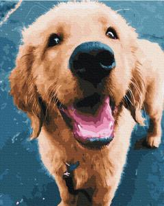 Set pictura pe numere - Happy Dog, 40x50 cm