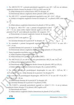 Matematica. Algebra, geometrie - clasa a VIII-a, standard