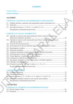 Matematica. Algebra, geometrie - clasa a VIII-a, standard