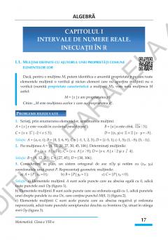 Matematica. Algebra, geometrie - clasa a VIII-a, standard