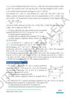 Matematica. Algebra, geometrie - clasa a VIII-a, standard