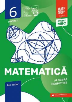 Matematica. Algebra, geometrie. Caiet de lucru. Clasa a VI-a. Initiere. Partea I